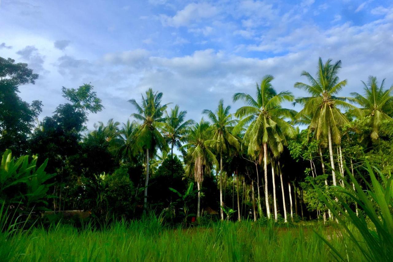 Chemel Homestay Kuta  Екстериор снимка