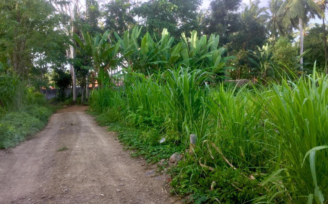 Chemel Homestay Kuta  Екстериор снимка